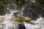 kayak agout 2014